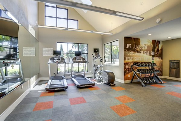 Modern fitness center with advanced cardio equipment in Avana San Jose Apartments