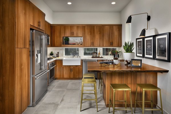 Modern kitchen with stainless steel appliances at Anden luxury apartments