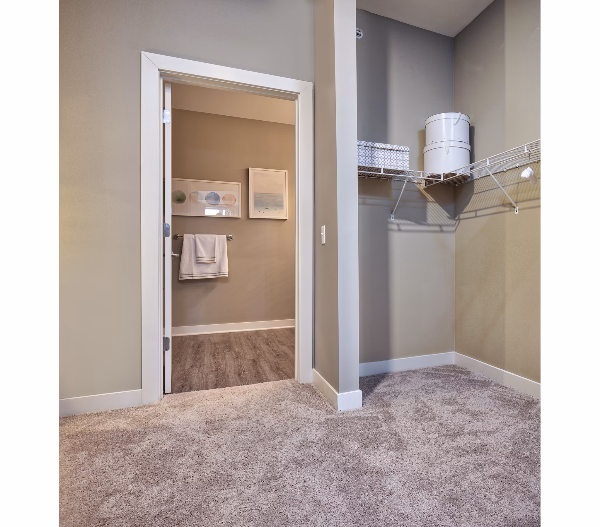 Walk-in closet with ample storage space in Ridge at Robinson Apartments