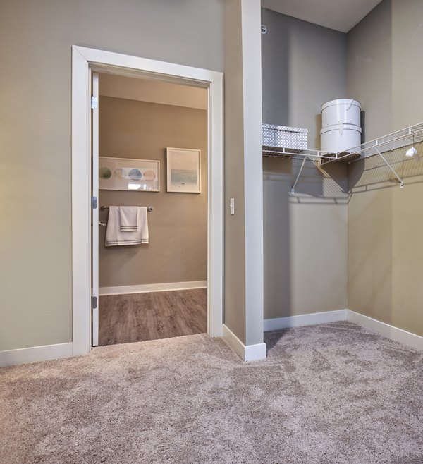 Walk-in closet with ample storage space in Ridge at Robinson Apartments