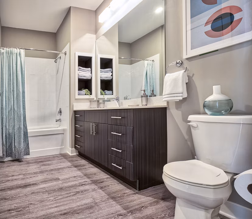 Elegant bathroom with modern fixtures at Ridge at Robinson Apartments, luxury space by Greystar