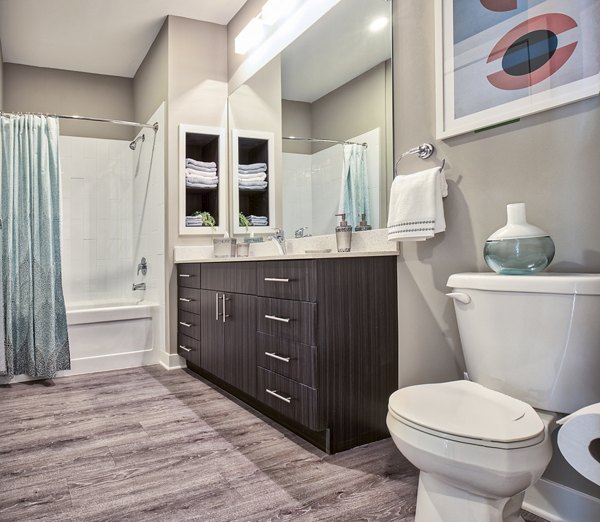 Elegant bathroom with modern fixtures at Ridge at Robinson Apartments, luxury space by Greystar