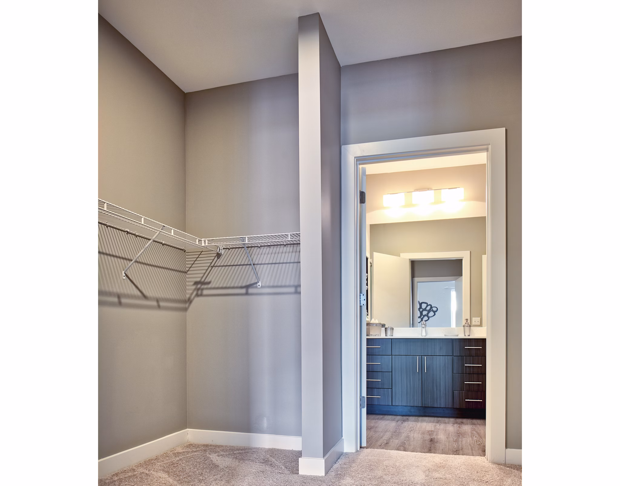 Walk-in closet with ample storage space in Ridge at Robinson Apartments