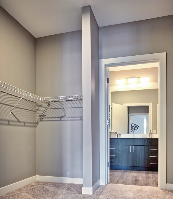 Walk-in closet with ample storage space in Ridge at Robinson Apartments
