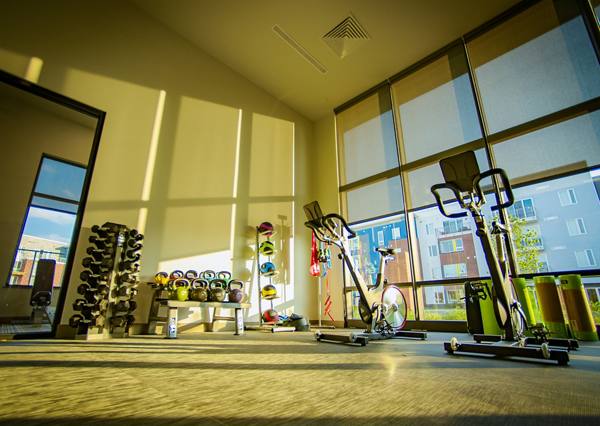 fitness center at Ridge at Robinson Apartments                                
