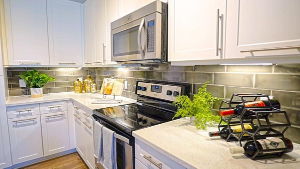 Modern kitchen featuring stainless steel appliances in Avia Apartments