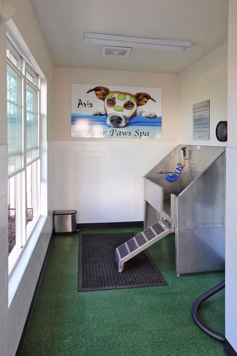 Dog wash station with modern features at Avia Apartments, offering pet-friendly amenities for luxury living