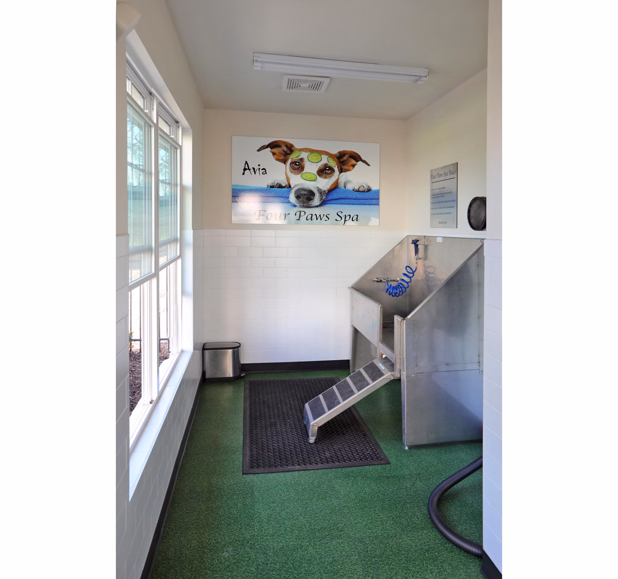Dog wash station with modern features at Avia Apartments, offering pet-friendly amenities for luxury living