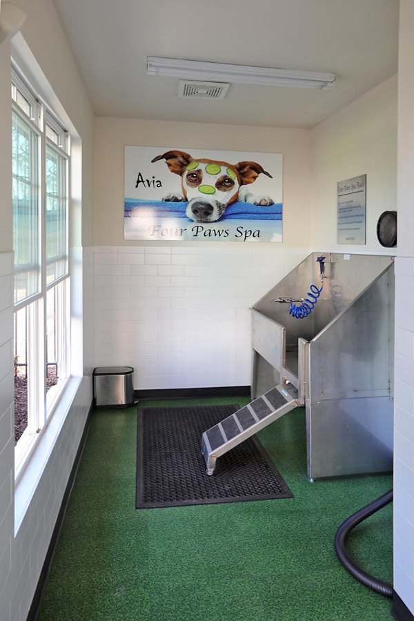 Dog wash station with modern features at Avia Apartments, offering pet-friendly amenities for luxury living