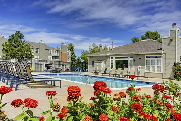 pool at The Hamptons Apartments