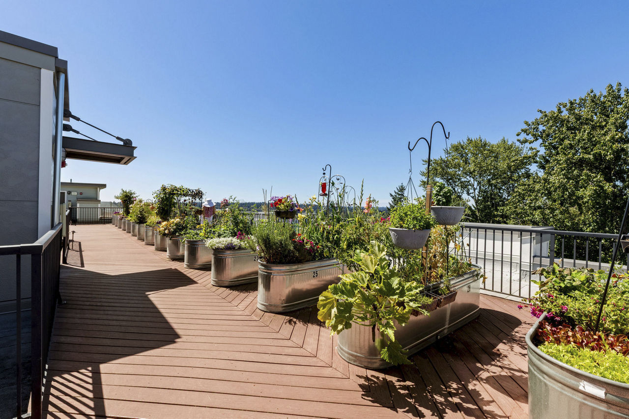 Roof deck at Destinations Lynnwood (1 of 2)