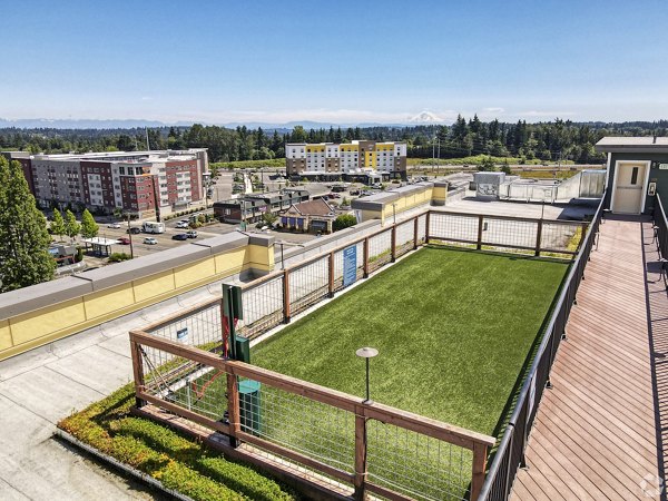 Spacious dog park at Destinations Lynnwood Apartments featuring agility equipment and green spaces for pet-friendly luxury living