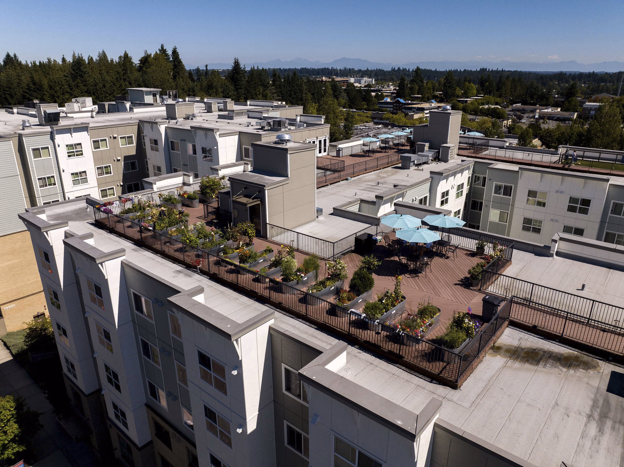 view at Destinations Lynnwood an Overture Community Apartments