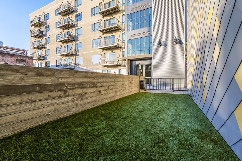 Dog park with pet-friendly features at AMP Lofts Apartments