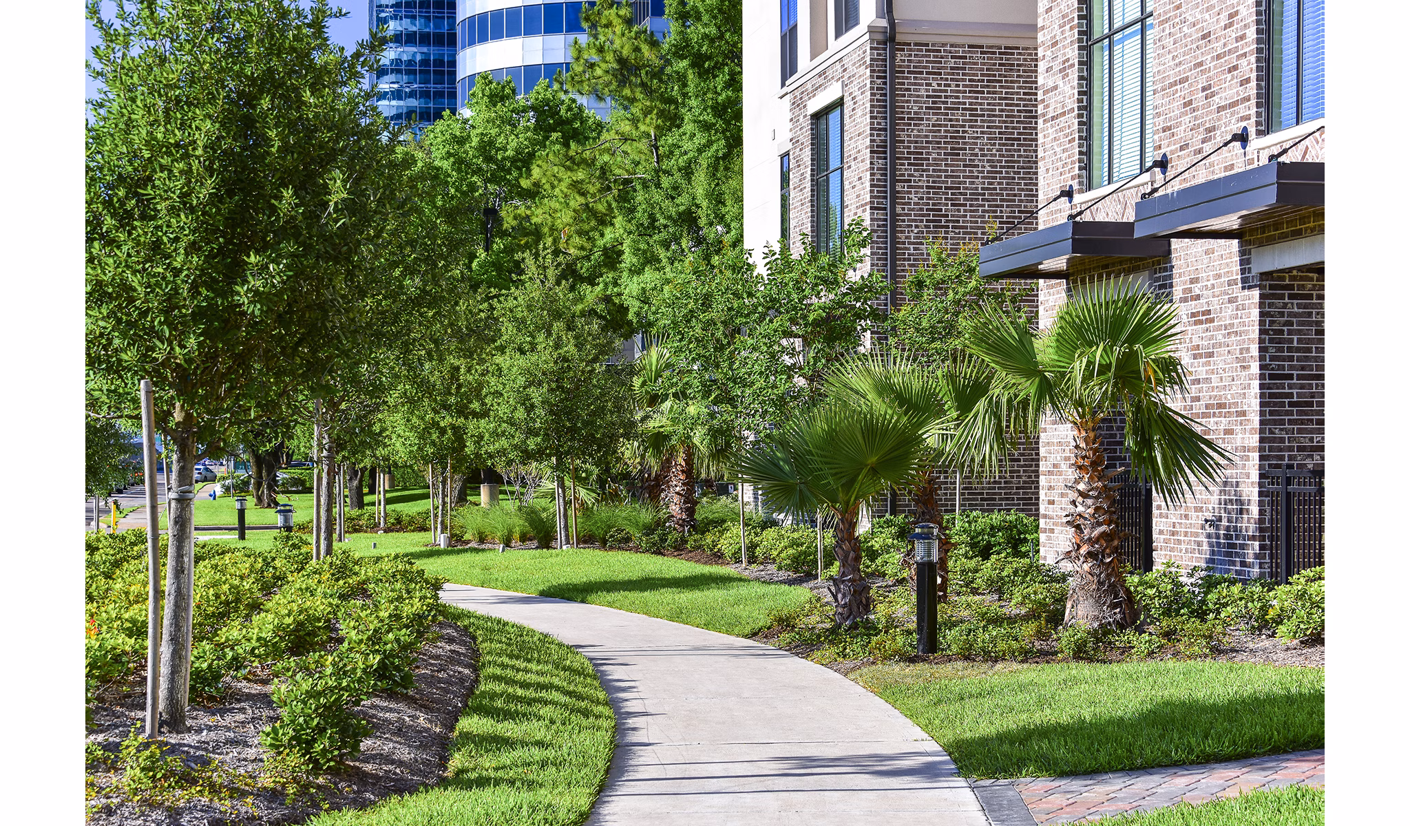 exterior at Arlo Westchase Apartments                                                      