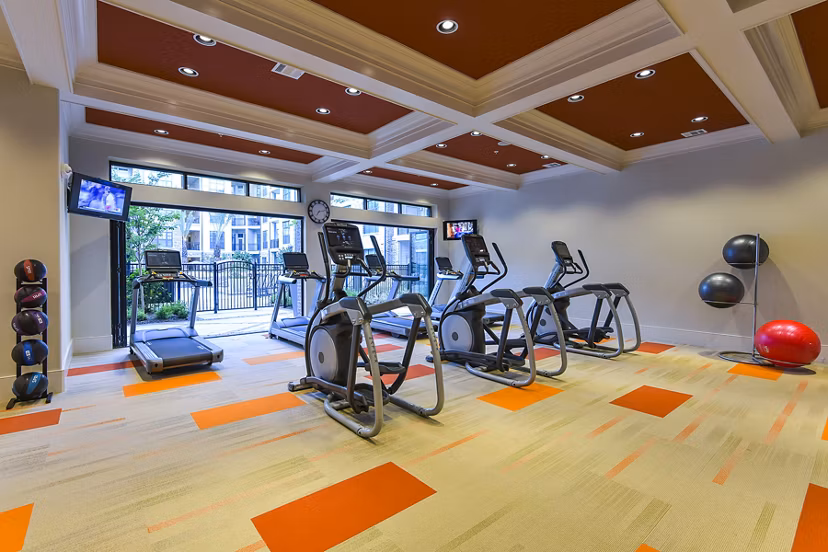 fitness center at Arlo Westchase Apartments                                                            