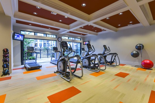 fitness center at Arlo Westchase Apartments                                                            