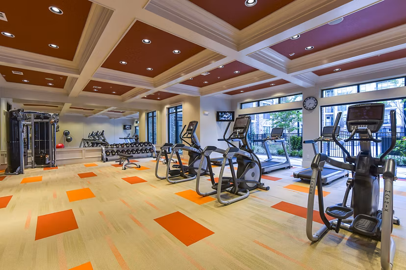 fitness center at Arlo Westchase Apartments                                                                            