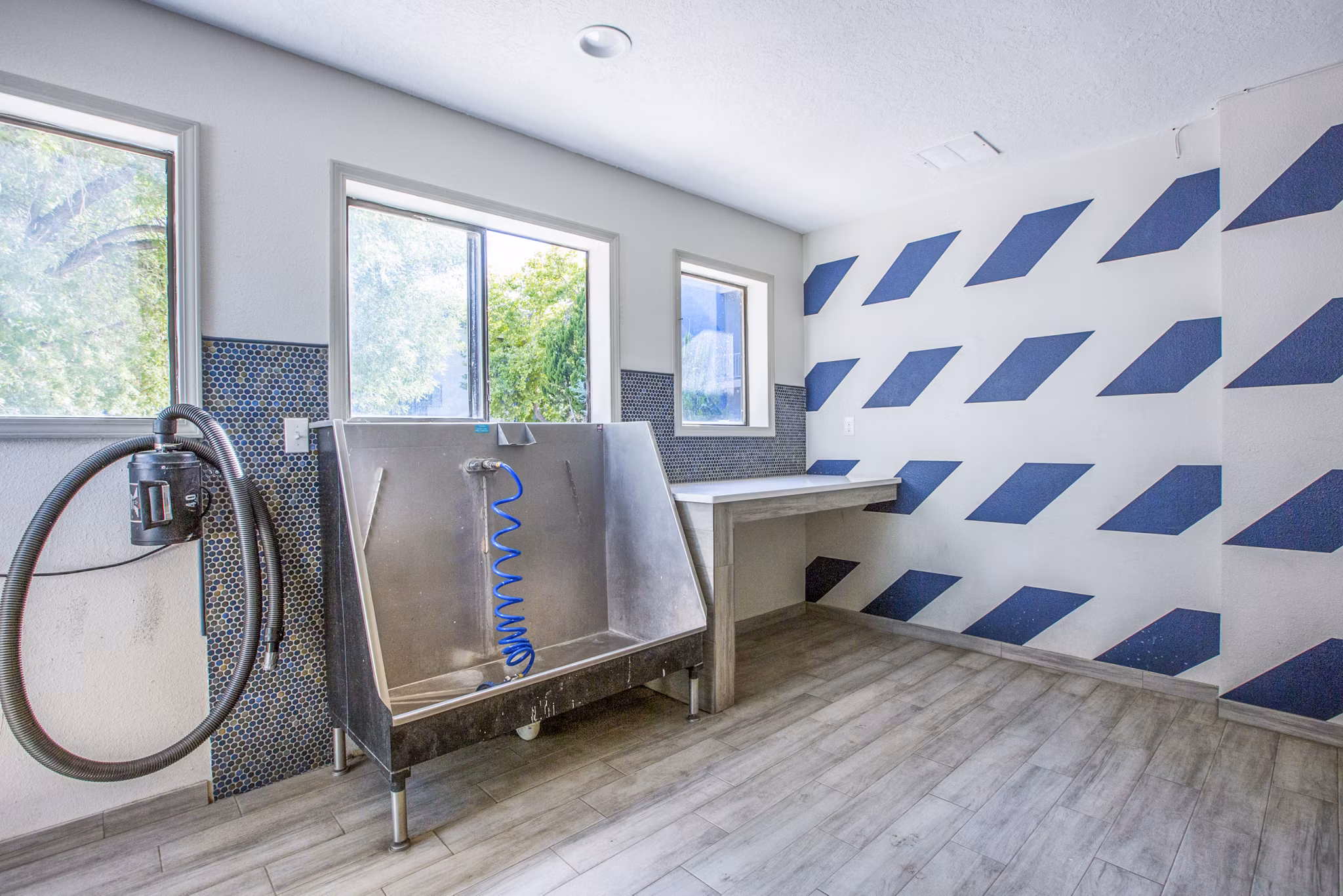 Dog wash station with modern facilities at AYA ABQ Apartments, ideal for pet-friendly luxury living in Albuquerque