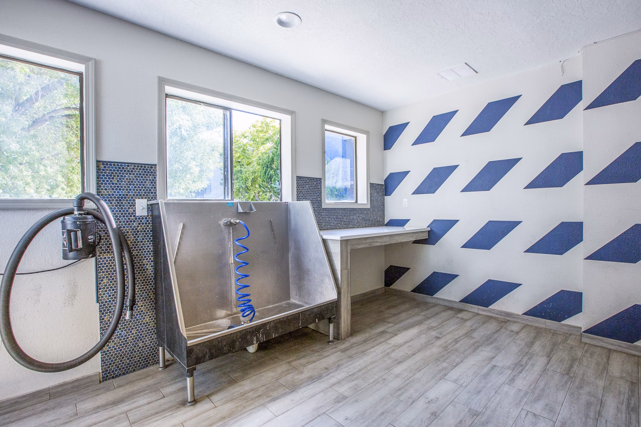 Dog wash station with modern facilities at AYA ABQ Apartments, ideal for pet-friendly luxury living in Albuquerque