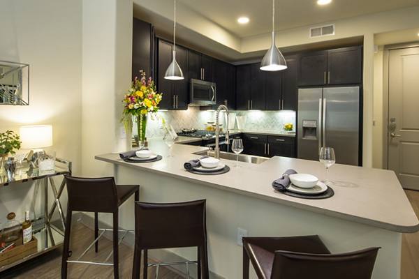 kitchen at 1414 Texas Downtown Apartments