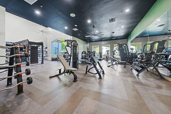 Fitness center with modern equipment at Bella Mirage Apartments