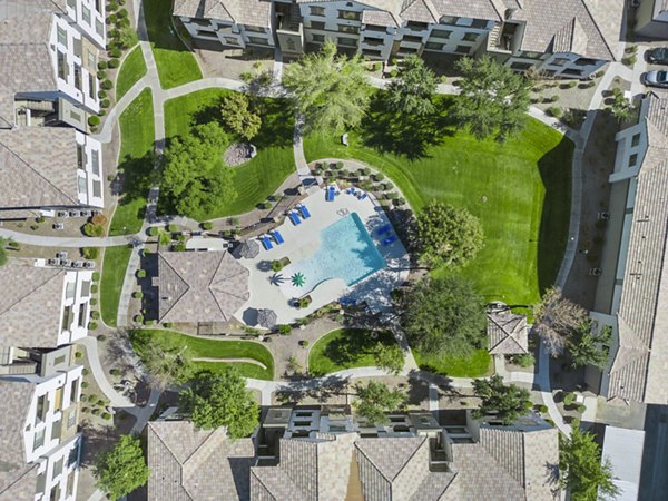 Resort-style pool surrounded by palm trees at Bella Mirage Apartments