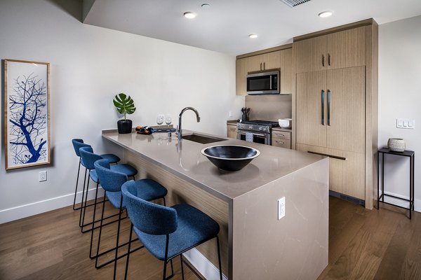Modern kitchen with stainless steel appliances and white cabinetry in Palisade at Westfield UTC Apartments
