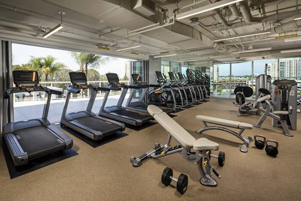fitness center at Palisade at Westfield UTC Apartments
