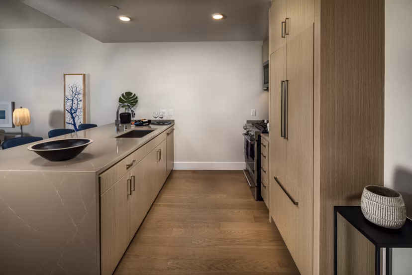 Modern kitchen with stainless steel appliances at Palisade at Westfield UTC Apartments, offering luxury living in a prime location