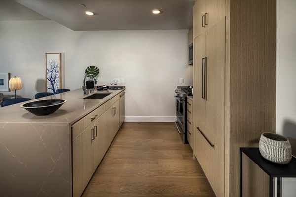 Modern kitchen with stainless steel appliances at Palisade at Westfield UTC Apartments, offering luxury living in a prime location