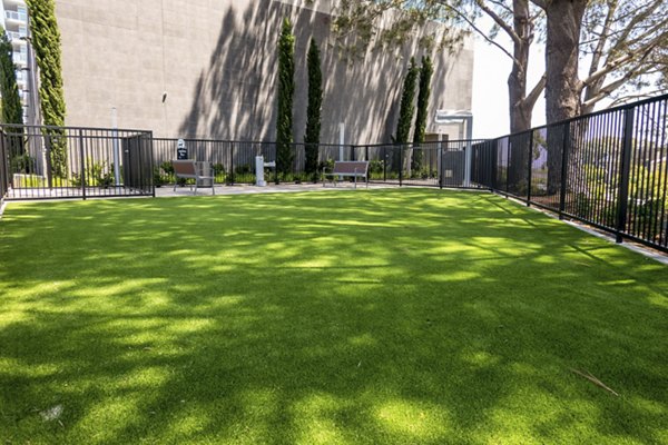 Palisade at Westfield UTC: Spacious dog park with agility equipment for luxury apartment residents