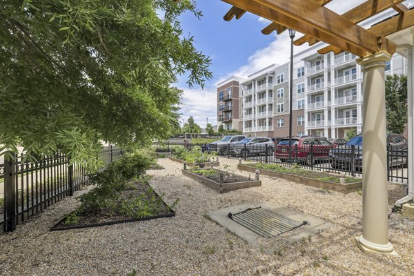 rooftop deck at High Street View Luxury Apartments