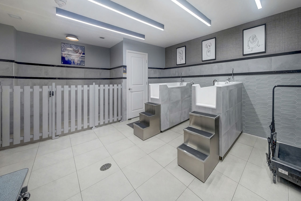 Pet wash at Laureat (2 of 2)