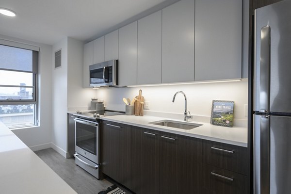 Modern kitchen featuring stainless steel appliances and sleek countertops at Watermark Central Apartments, a Greystar luxury community