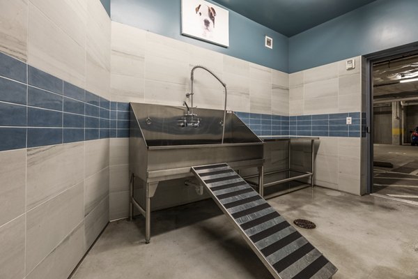 Modern dog wash station at Pike Motorworks Apartments featuring sleek design and efficient equipment for pet care convenience