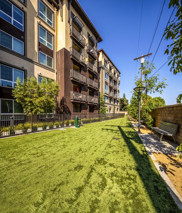 Dog park with agility equipment at Clarendon Apartments
