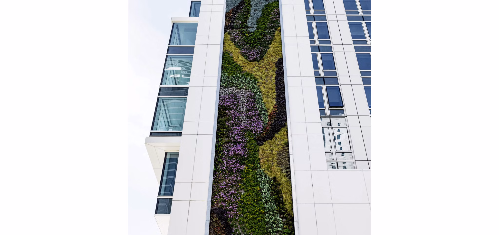 Jasper Apartments: Luxury high-rise with modern design in vibrant downtown location