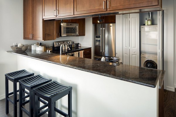 Modern kitchen with stainless steel appliances in Edgewater Apartments offering luxury living in a prime location