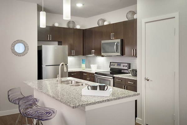 kitchen at The Upton at Longhorn Quarry Apartments