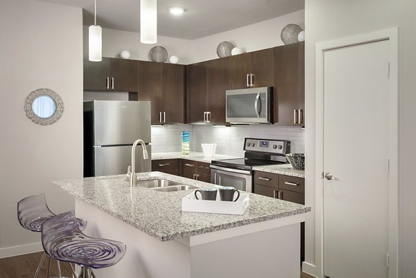Kitchen with modern appliances and sleek countertops at The Upton at Longhorn Quarry Apartments