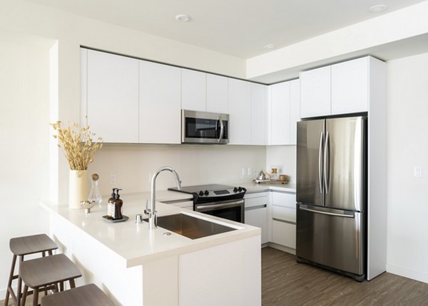 Modern kitchen with stainless steel appliances in Linea Apartments