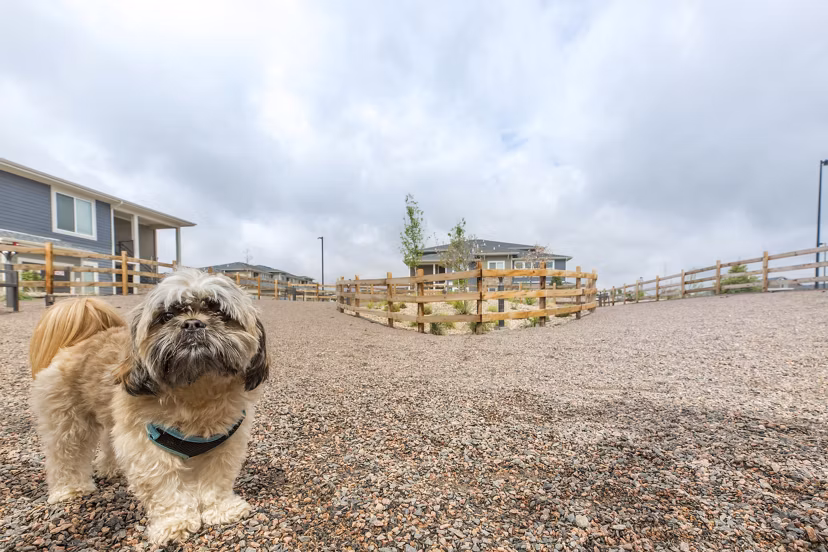 dog park at The Argonne Apartments