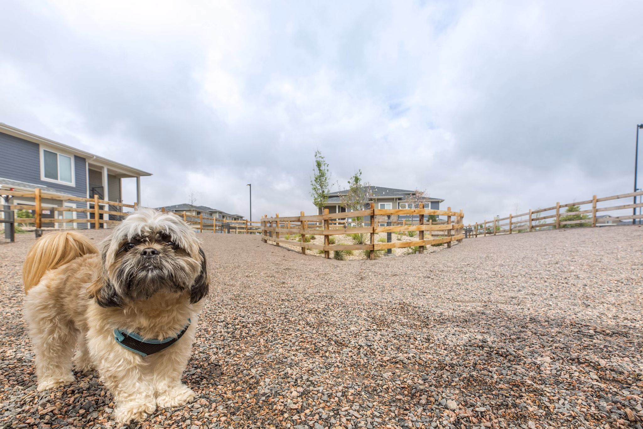 dog park at The Argonne Apartments