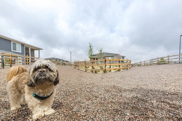 dog park at The Argonne Apartments