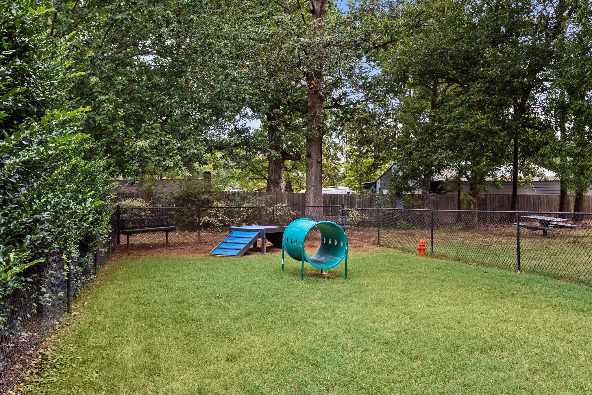 dog park at Avana Reserve Apartments 