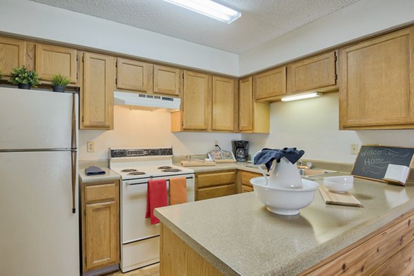 Modern kitchen featuring sleek countertops and stainless steel appliances in Pinehurst Apartments