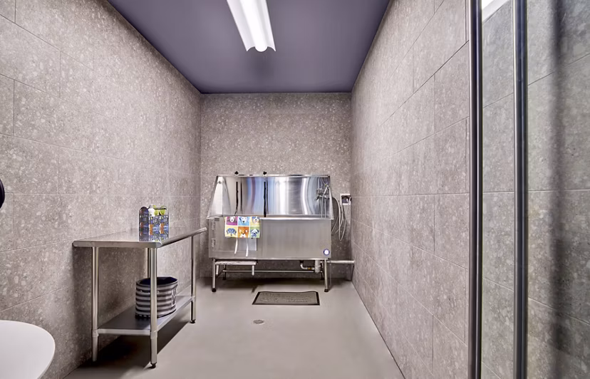 Convenient dog wash station at 7 Seventy House Apartments, perfect for pet-friendly luxury living in Greystar community