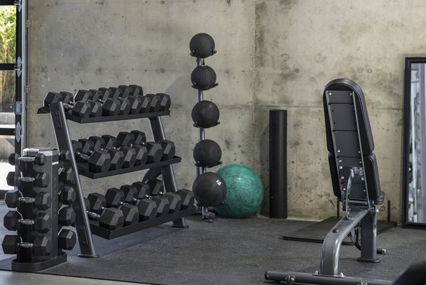 State-of-the-art fitness center at The Union Apartments featuring modern gym equipment for an ideal workout experience