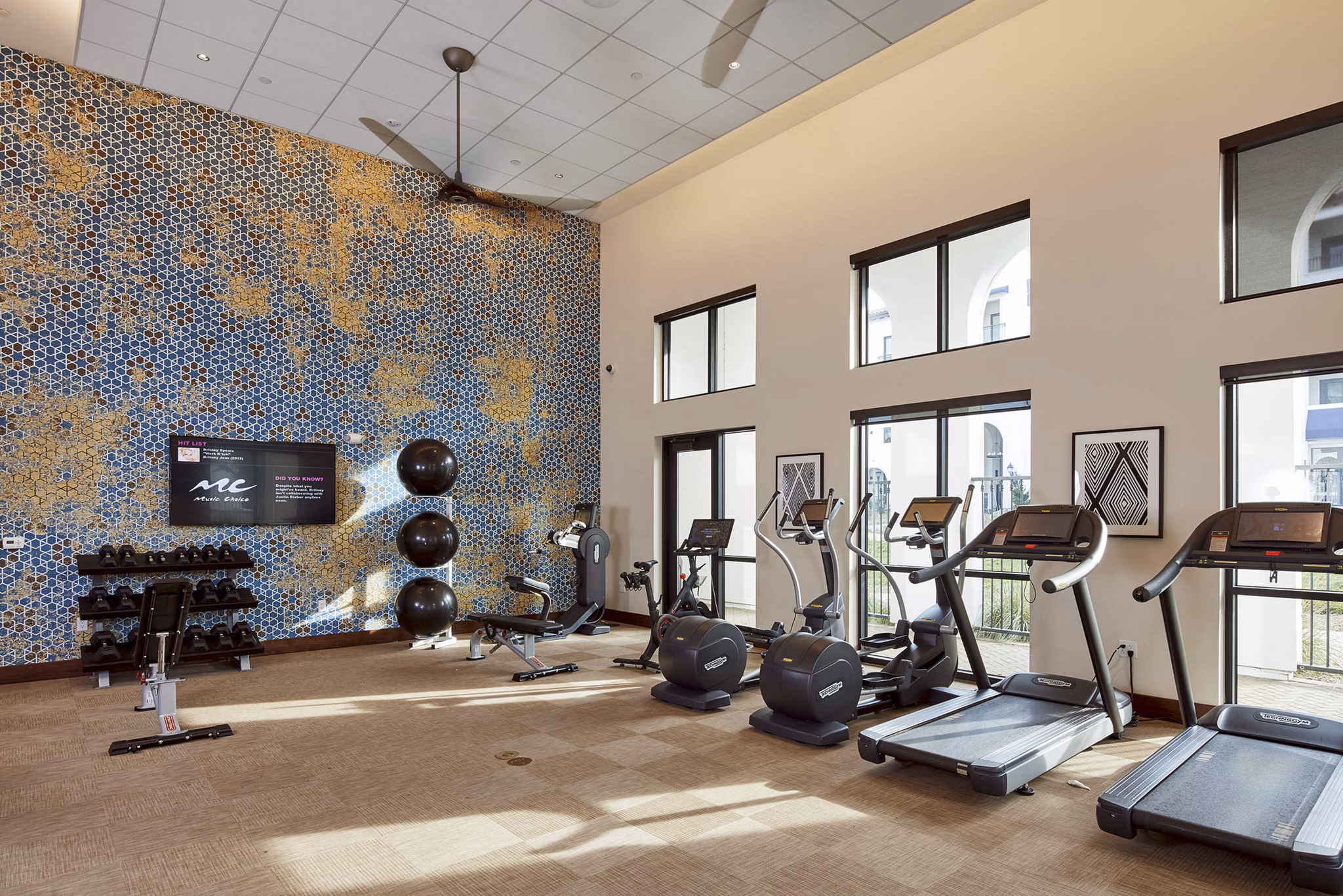 Modern fitness center with treadmills, exercise bikes, weight rack, and stability balls in luxury apartment community